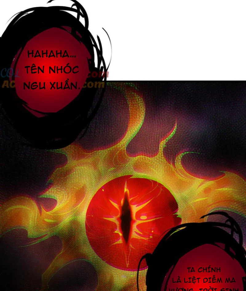 Thảm Họa Tử Linh Sư Chapter 134 - Trang 4