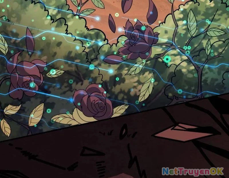 Vừa Chơi Đã Có Tài Khoản Vương Giả Chapter 491 - Trang 4