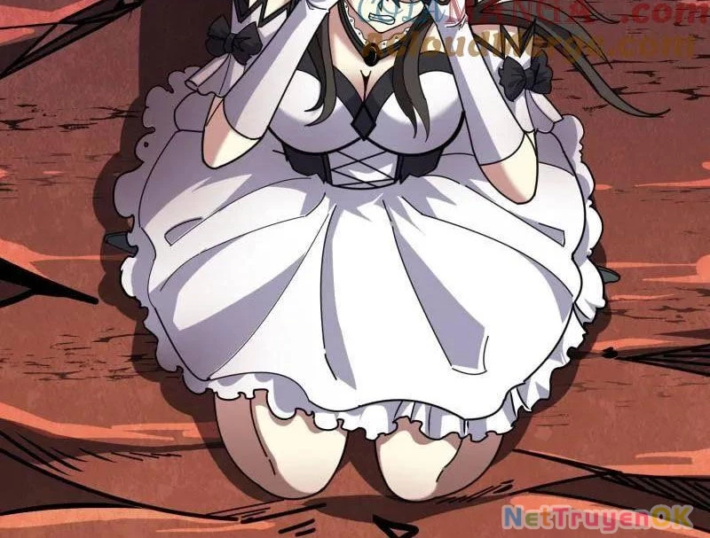 Vừa Chơi Đã Có Tài Khoản Vương Giả Chapter 491 - Trang 4