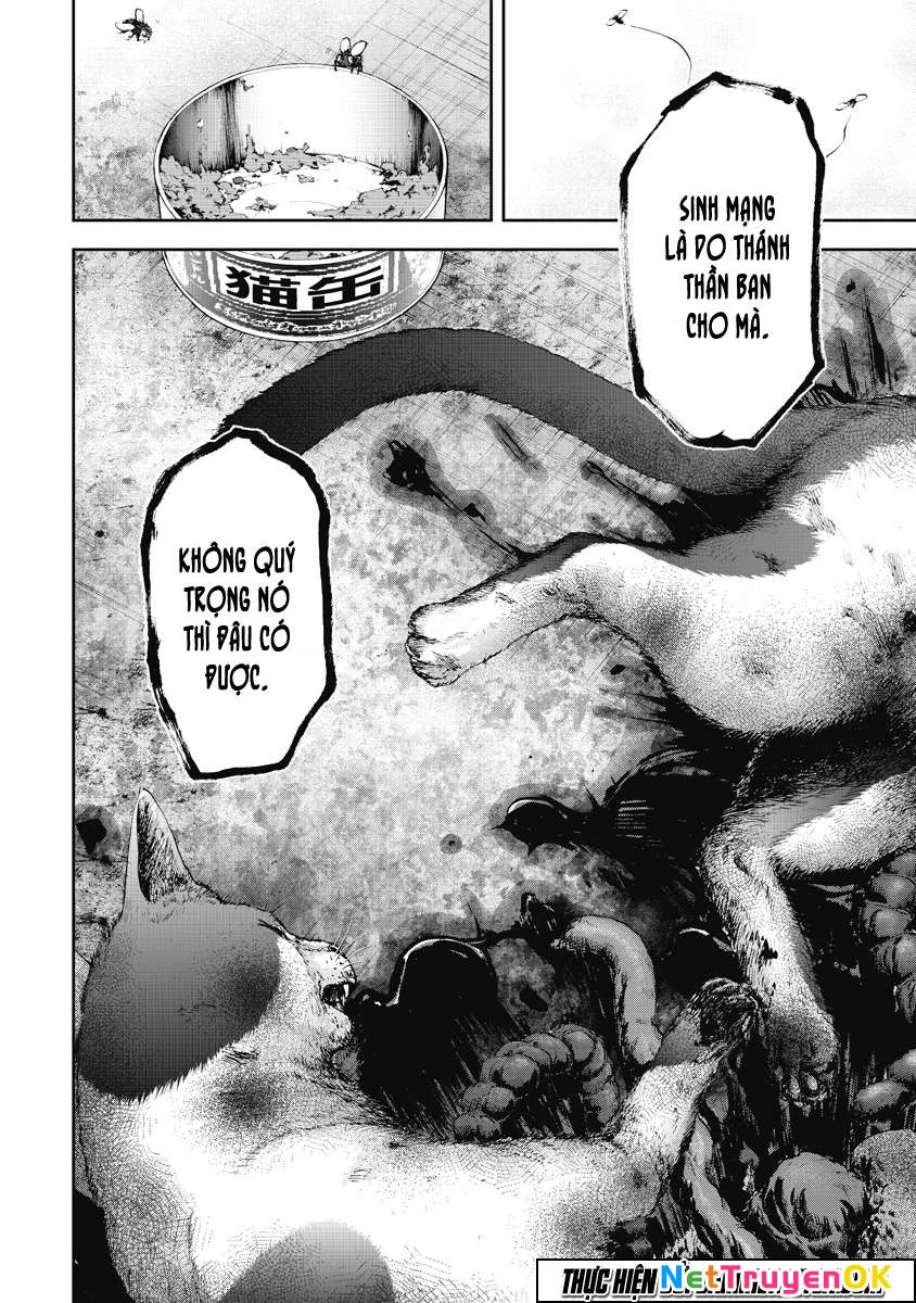 Gift Plus Minus Chapter 1.1 - Trang 2