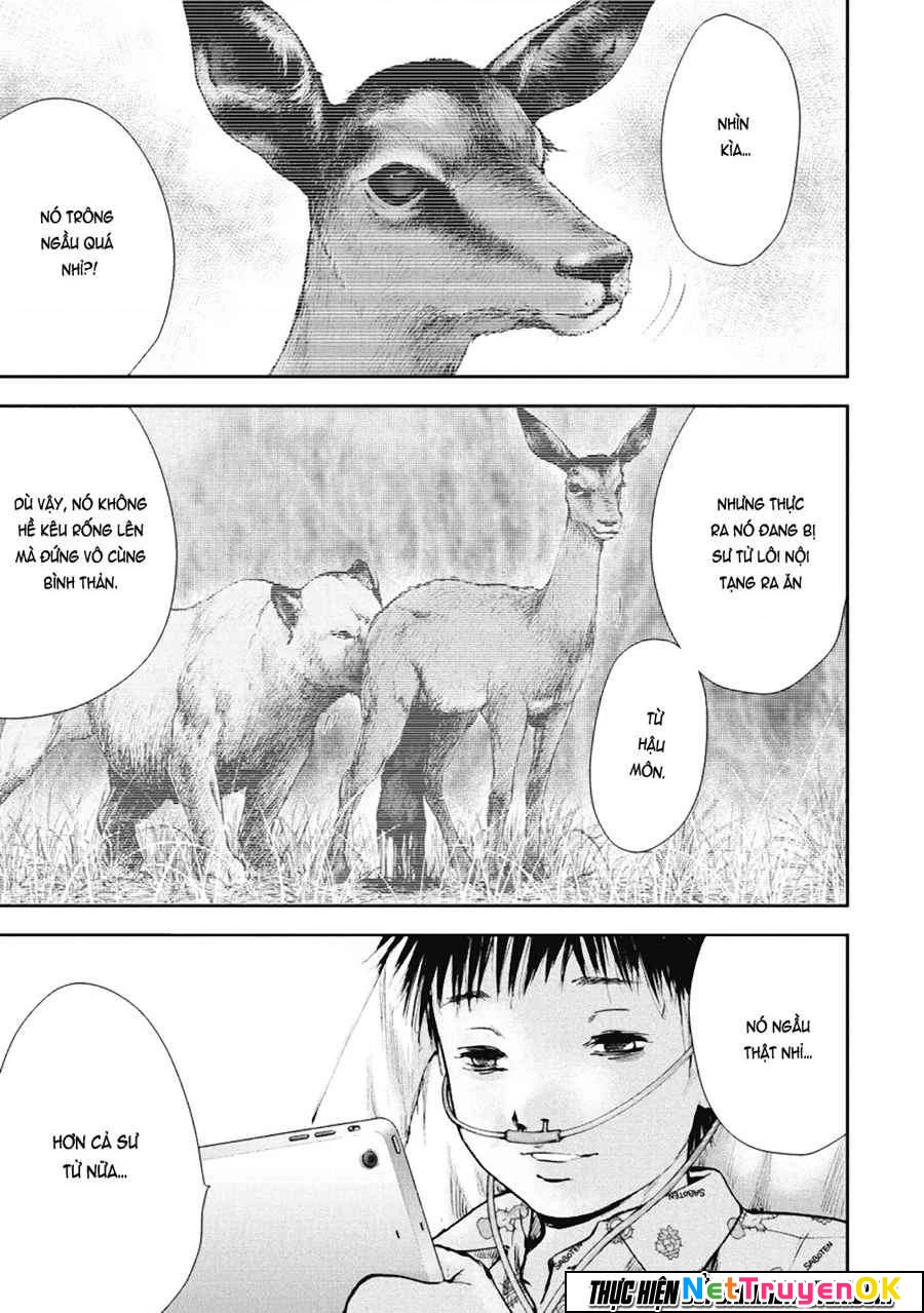 Gift Plus Minus Chapter 33 - Trang 2