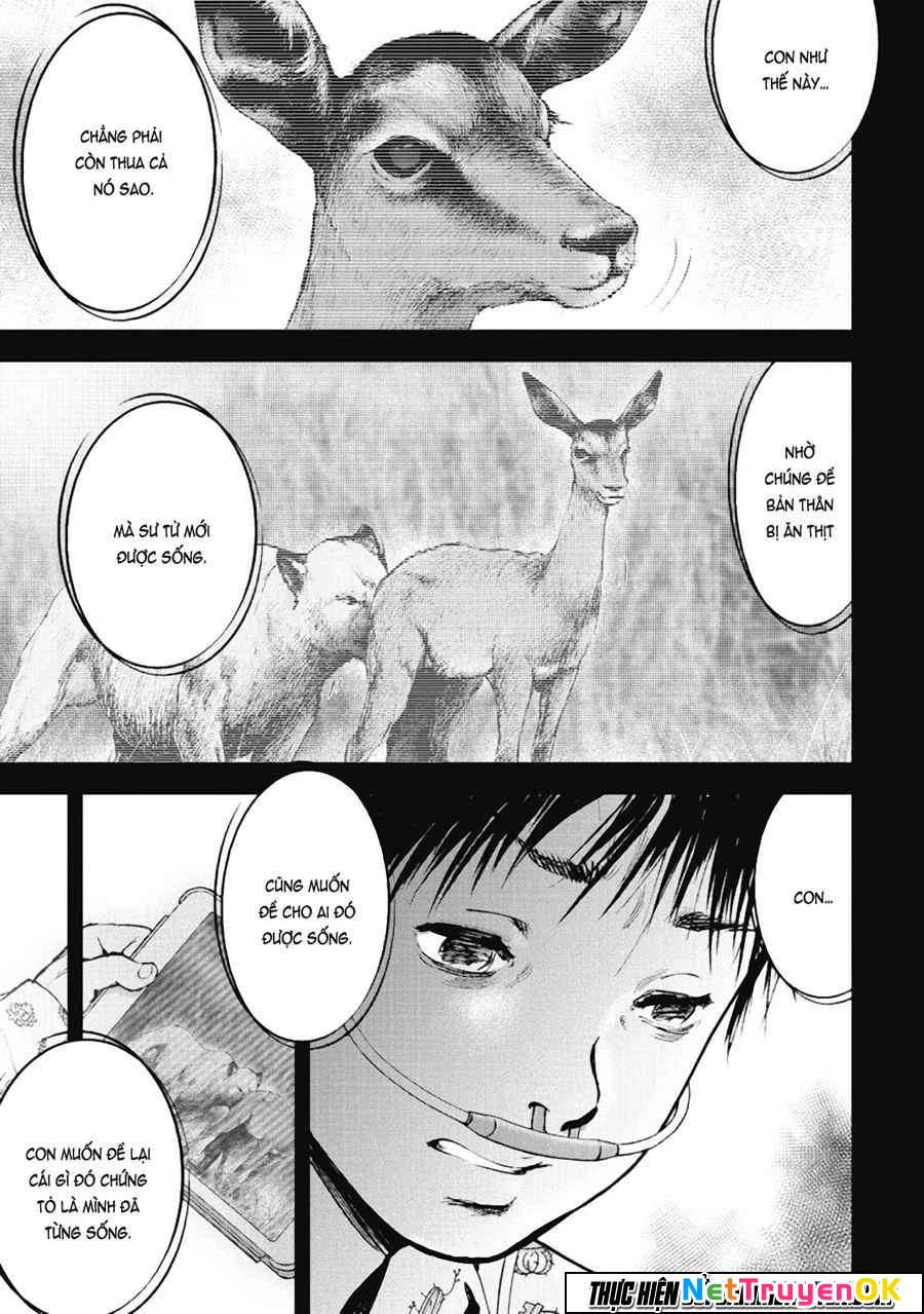 Gift Plus Minus Chapter 35 - Trang 2