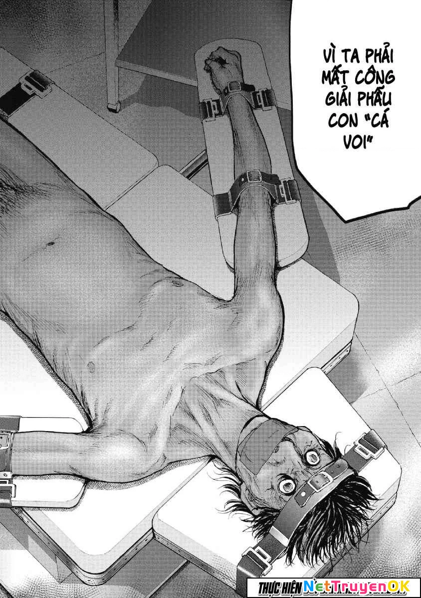 Gift Plus Minus Chapter 49 - Trang 2