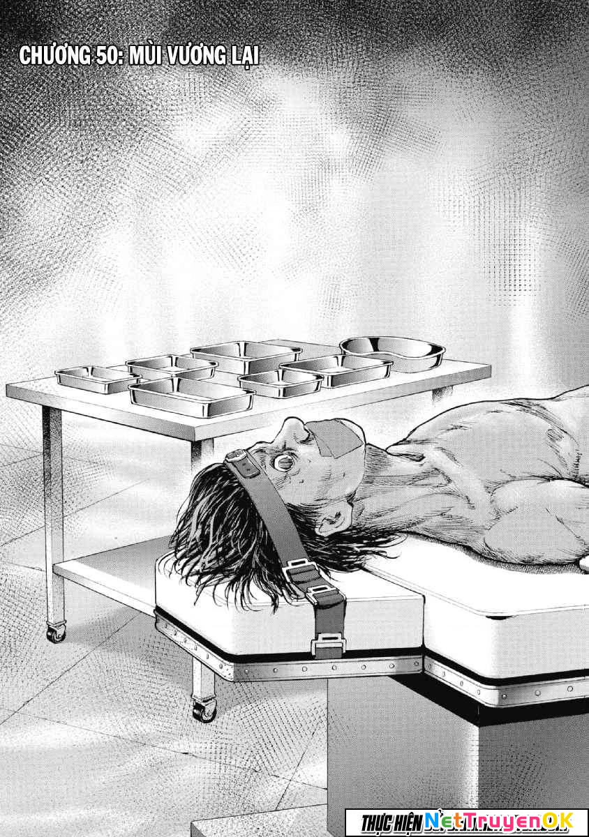 Gift Plus Minus Chapter 50 - Trang 2