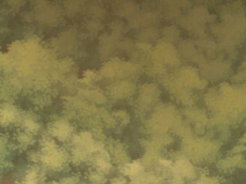 Đồ đệ ta đều là vô địch đại yêu Chapter 19 - Trang 2