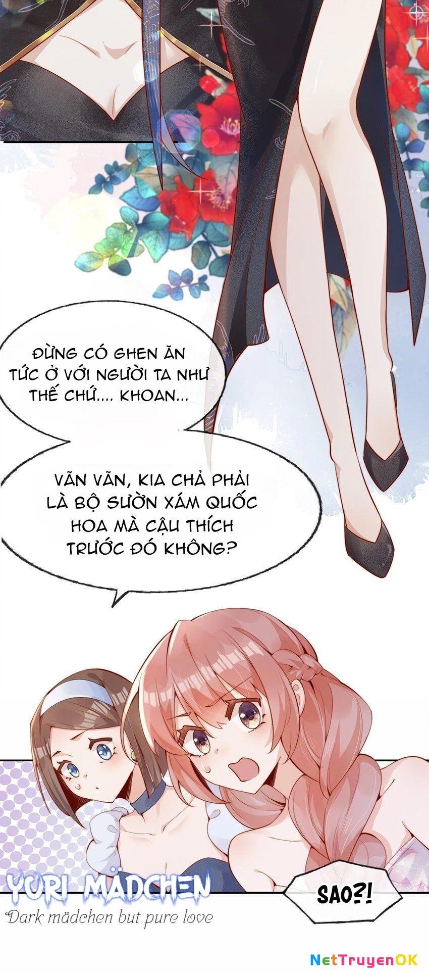 Ánh mắt kẻ thù nhìn tôi dần biến chất Chapter 1 - Trang 2