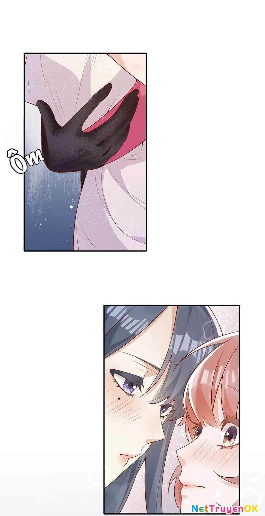 Ánh mắt kẻ thù nhìn tôi dần biến chất Chapter 2 - Trang 2