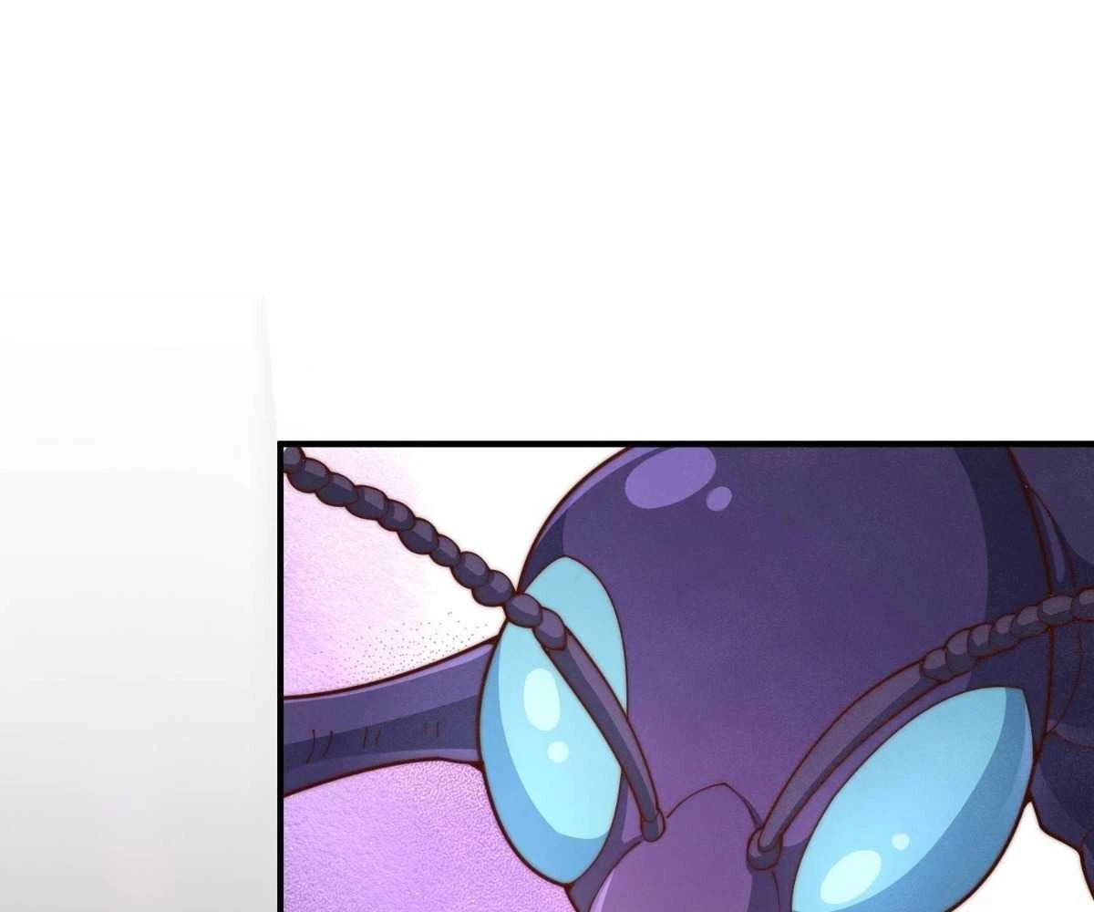 Luyện Khí 3000 Tầng: Mở Đầu Thu Nữ Đế Làm Đệ Chapter 3 - Trang 2