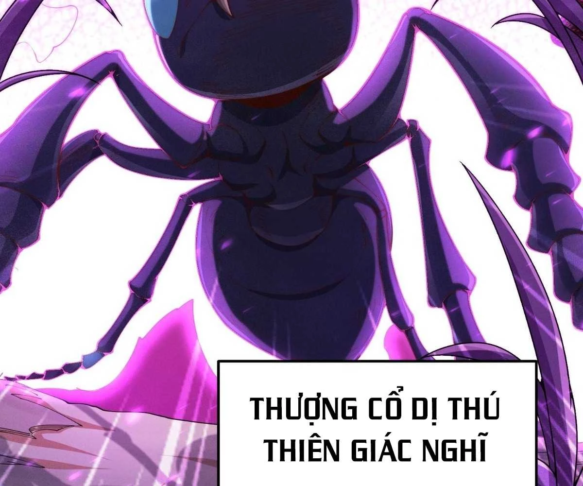 Luyện Khí 3000 Tầng: Mở Đầu Thu Nữ Đế Làm Đệ Chapter 3 - Trang 2