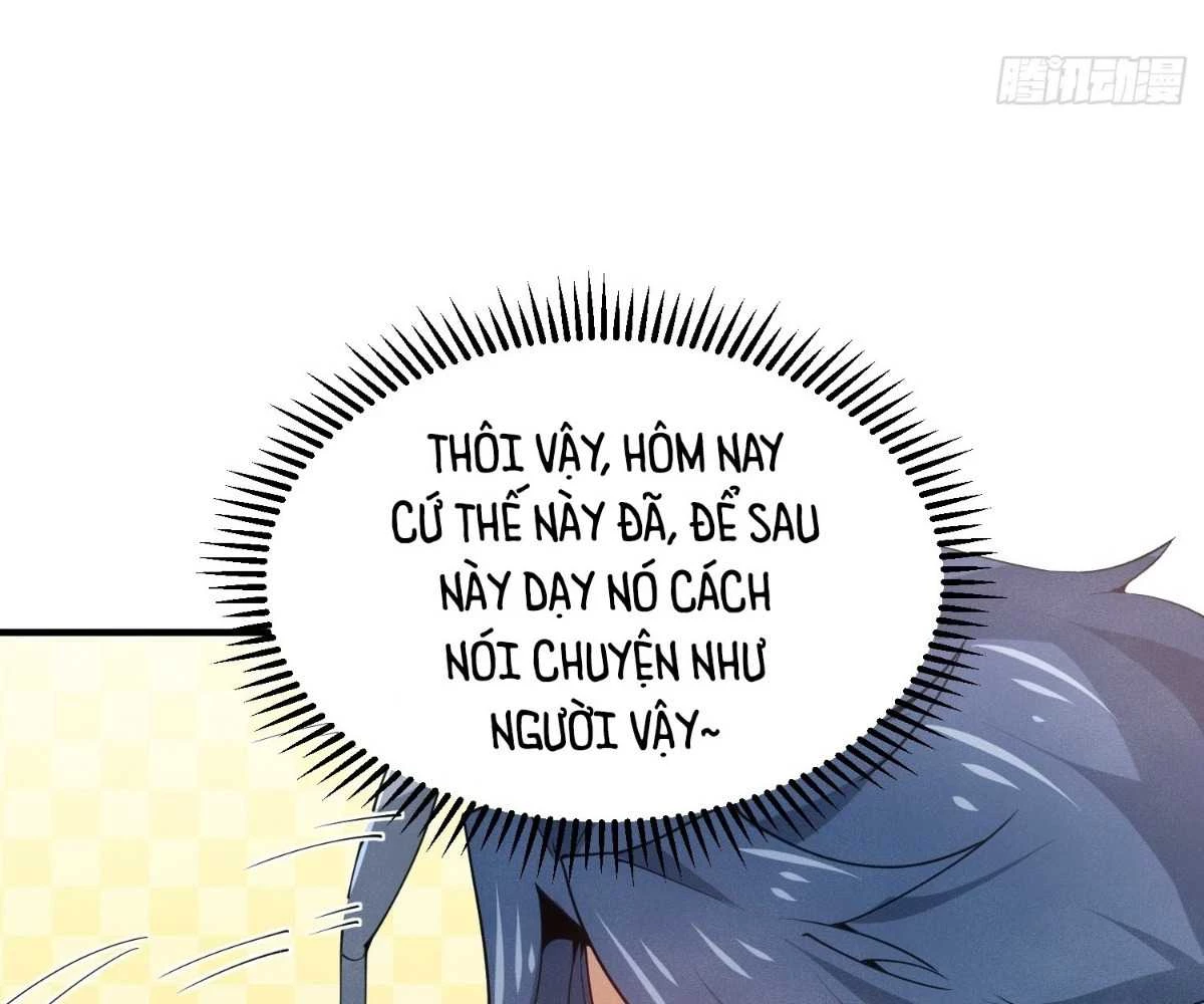 Luyện Khí 3000 Tầng: Mở Đầu Thu Nữ Đế Làm Đệ Chapter 5 - Trang 2