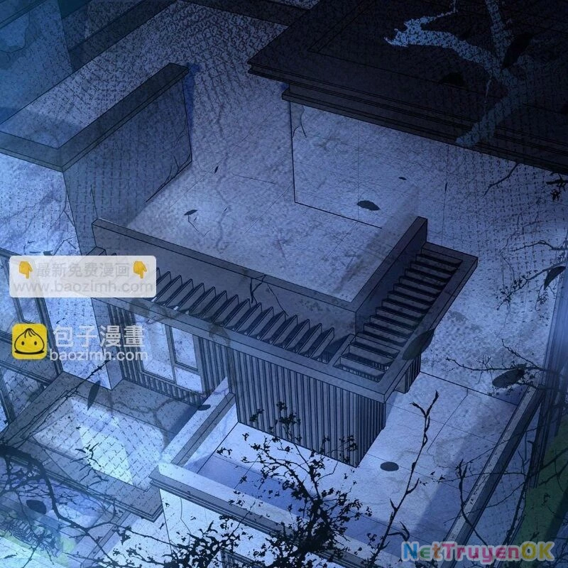 Các Nữ Đồ Đệ Của Ta Đều Là Chư Thiên Đại Lão Tương Lai Chapter 256 - Trang 4