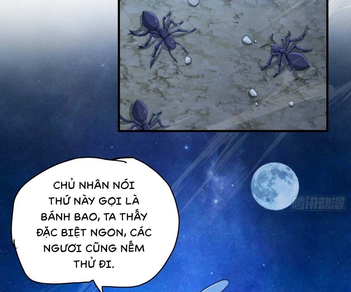 Luyện Khí 3000 Tầng: Mở Đầu Thu Nữ Đế Làm Đệ Chapter 8 - Trang 2