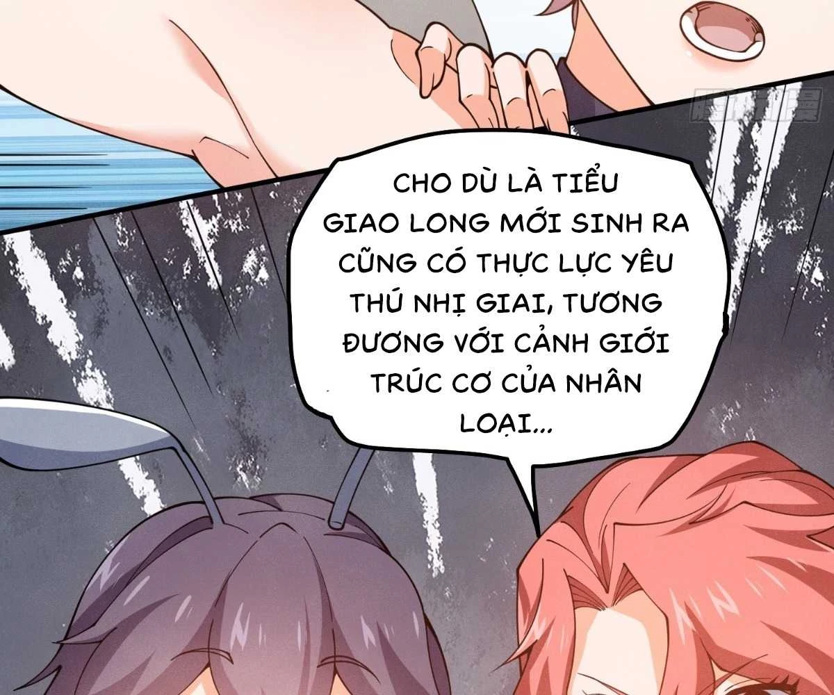 Luyện Khí 3000 Tầng: Mở Đầu Thu Nữ Đế Làm Đệ Chapter 13 - Trang 2