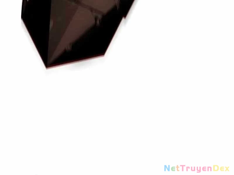 Solo Leveling : Ragnarok Chapter 29 - Trang 2