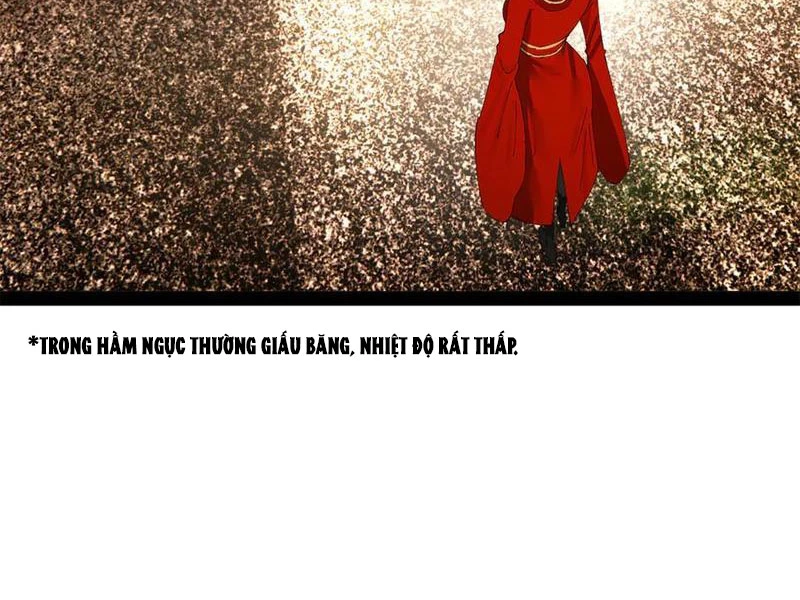 Chàng Rể Mạnh Nhất Lịch Sử Chapter 246 - Trang 4