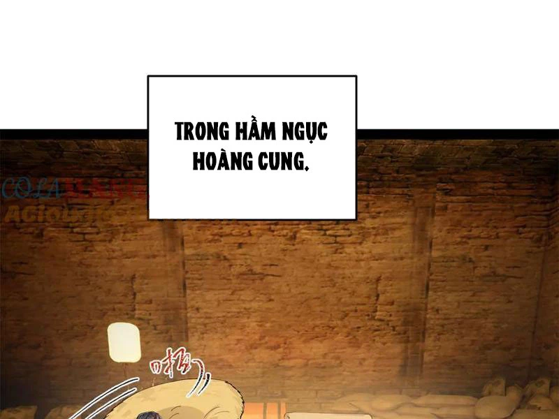 Chàng Rể Mạnh Nhất Lịch Sử Chapter 246 - Trang 4