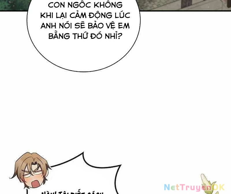 Đào Tạo Mấy Con Mắm Trong Tuyệt Vọng Chapter 11 - Trang 3