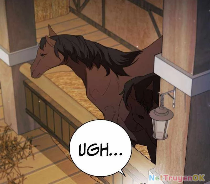 Đào Tạo Mấy Con Mắm Trong Tuyệt Vọng Chapter 12 - Trang 3