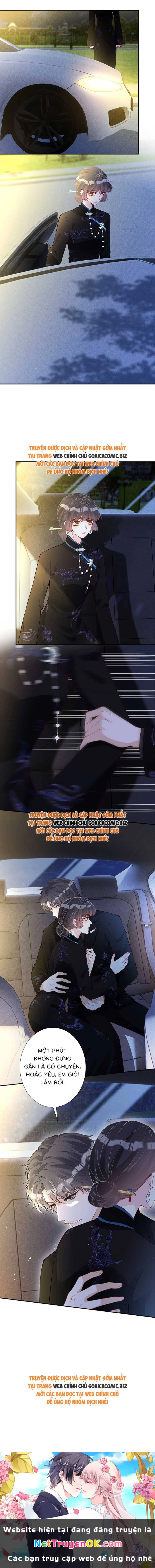 Ôm Khẩn Tiểu Mã Giáp Của Tôi Chapter 340 - Trang 4