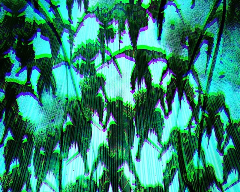 Thảm Họa Tử Linh Sư Chapter 135 - Trang 4