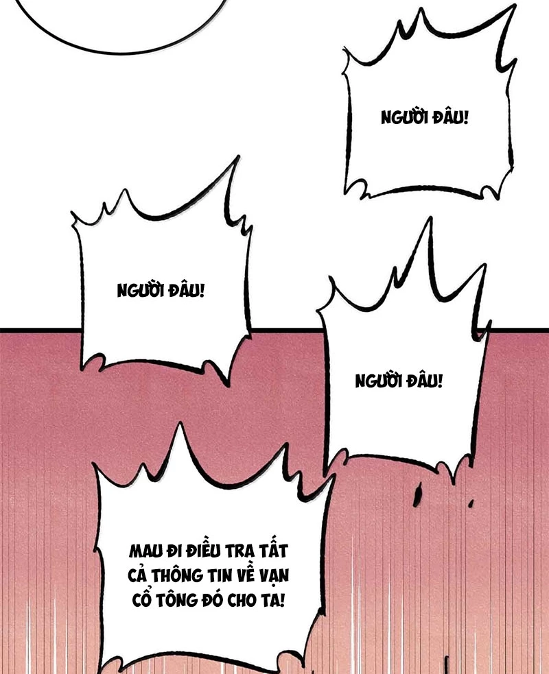 Vạn Cổ Tối Cường Tông Chapter 376 - Trang 4