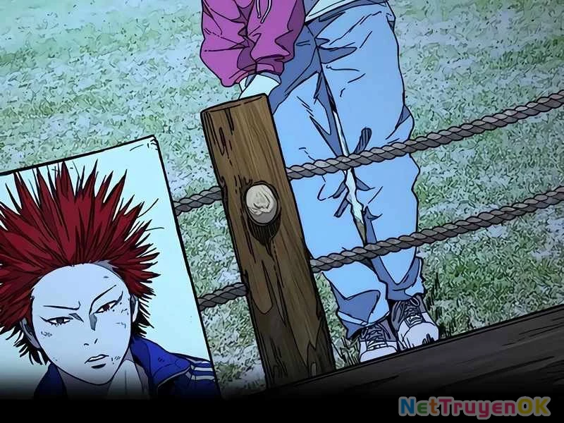 Thể Thao Cực Hạn Chapter 525 - Trang 4