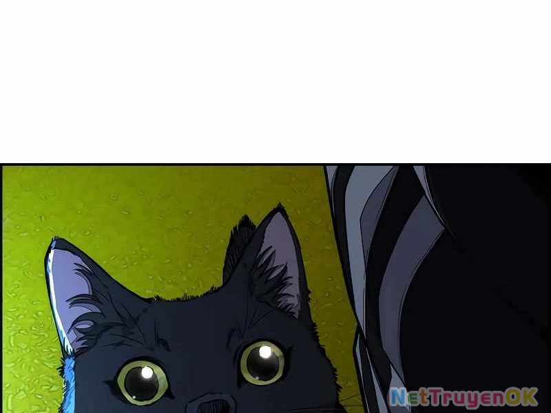 Thể Thao Cực Hạn Chapter 525 - Trang 4