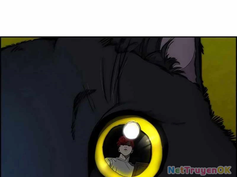 Thể Thao Cực Hạn Chapter 525 - Trang 4