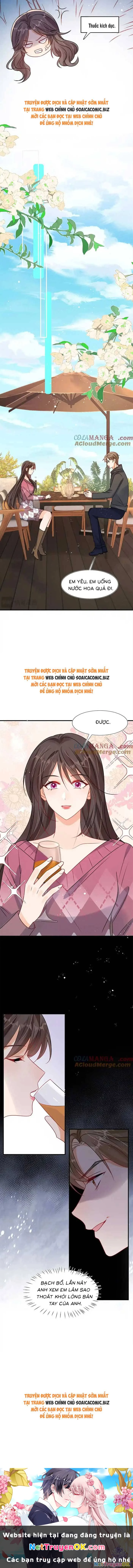 Cùng Lục Gia Yêu Đương Vụng Trộm Chapter 102 - Trang 4