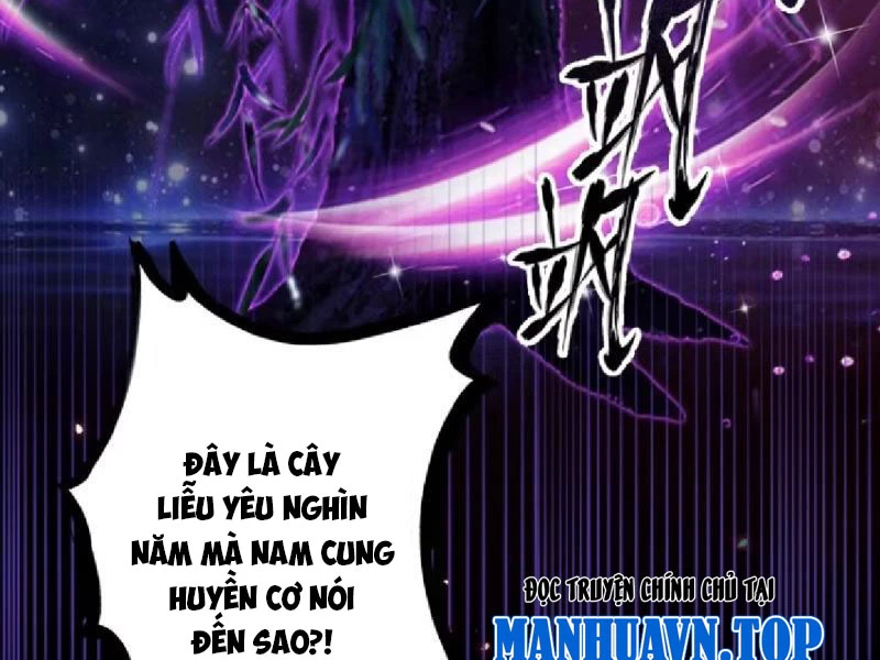 Hoá Ra Ta Đã Vô Địch Từ Lâu Chapter 208 - Trang 4