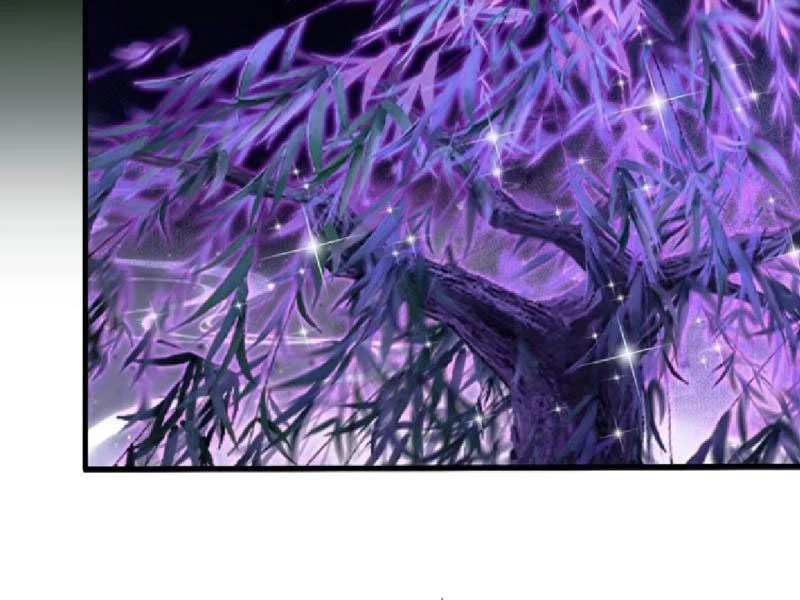 Hoá Ra Ta Đã Vô Địch Từ Lâu Chapter 208 - Trang 4