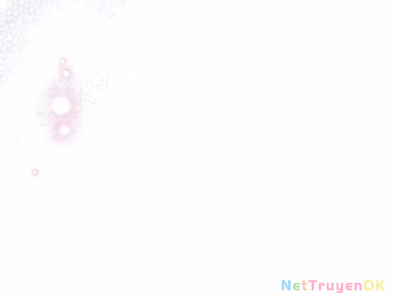 Kí Sự Hồi Quy Chapter 117 - Trang 4