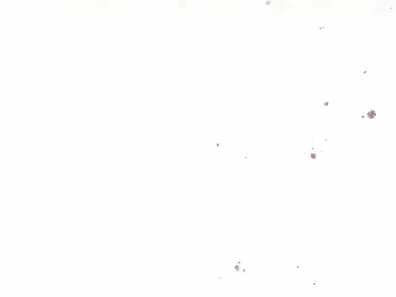 Kí Sự Hồi Quy Chapter 117 - Trang 4