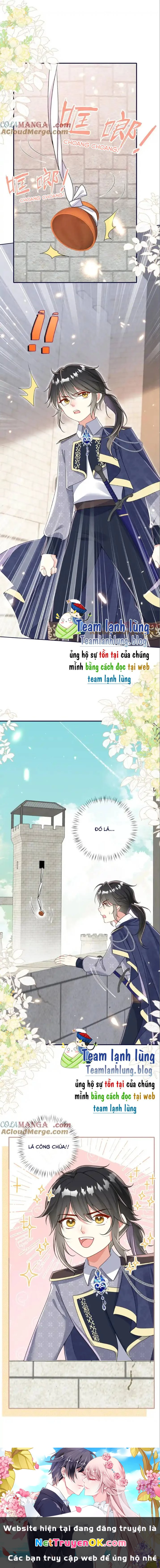 Tôi không làm nữ hoàng bù nhìn này nữa! Chapter 27 - Trang 2