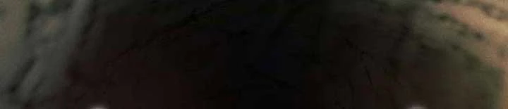 Chuyển Sinh Vào Thế Giới Võ Lâm Chapter 113 - Trang 4