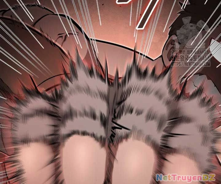 Nhà Vô Địch Kalli Chapter 90 - Trang 4