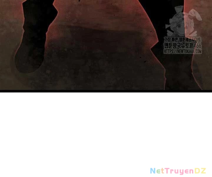 Nhà Vô Địch Kalli Chapter 90 - Trang 4