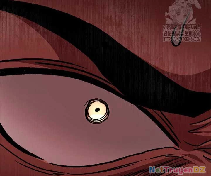 Nhà Vô Địch Kalli Chapter 90 - Trang 4