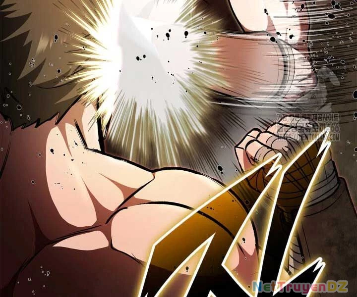 Nhà Vô Địch Kalli Chapter 90 - Trang 4