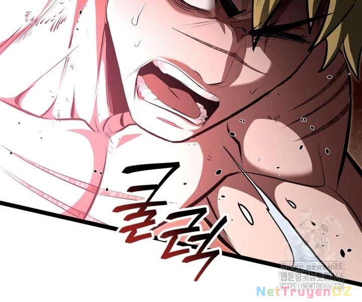 Nhà Vô Địch Kalli Chapter 90 - Trang 4
