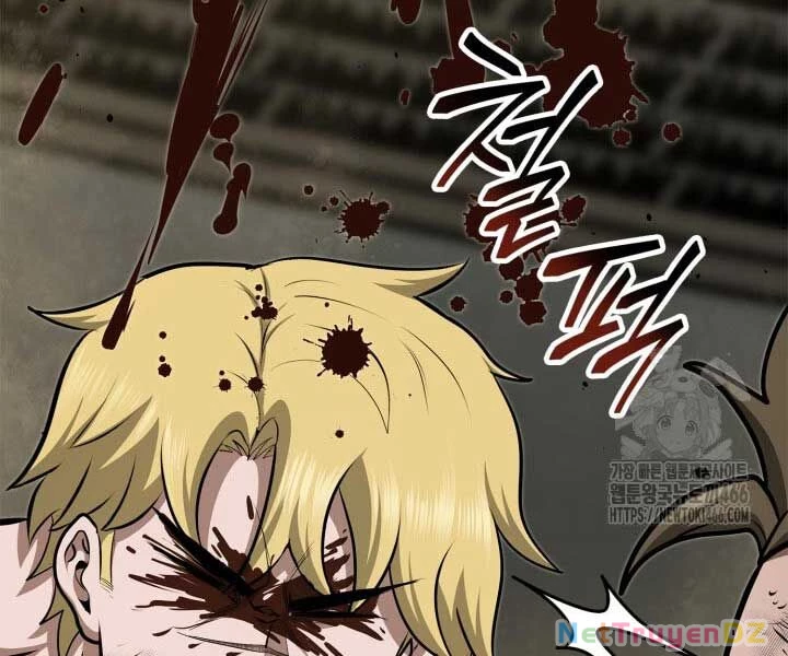 Nhà Vô Địch Kalli Chapter 90 - Trang 4