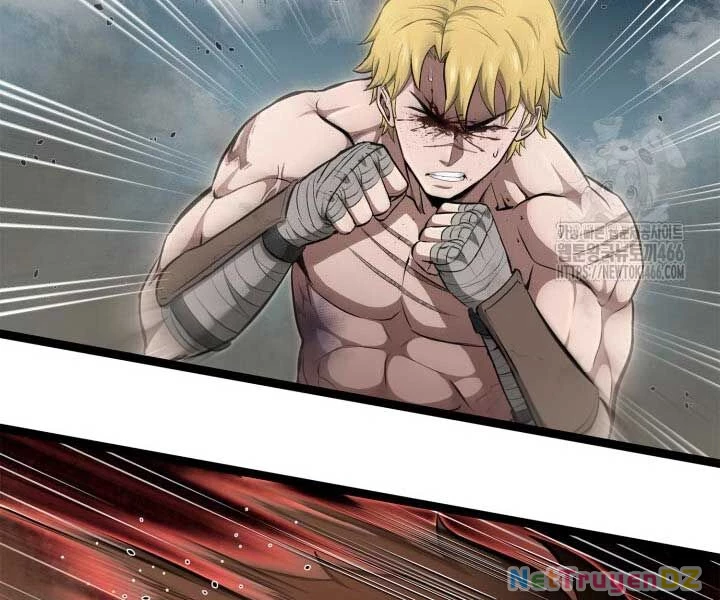 Nhà Vô Địch Kalli Chapter 90 - Trang 4