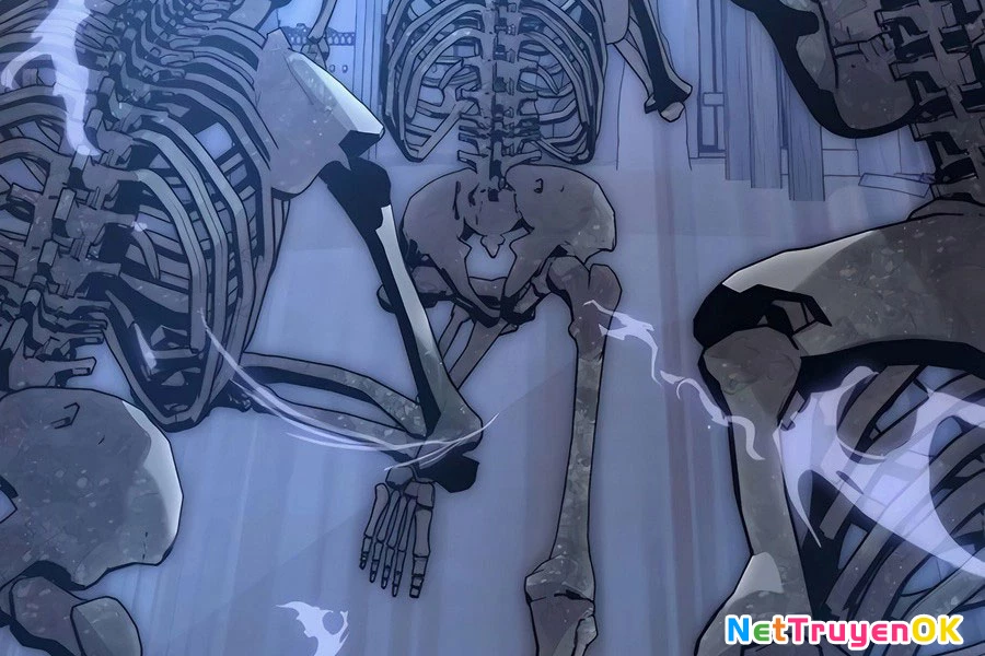 Cháu Trai Thánh Đế Là Tử Linh Sư Chapter 64 - Trang 4