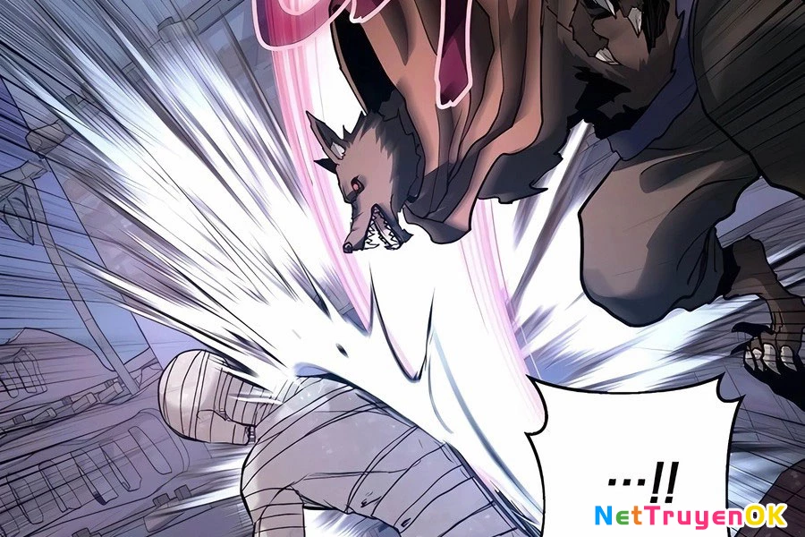 Cháu Trai Thánh Đế Là Tử Linh Sư Chapter 64 - Trang 4