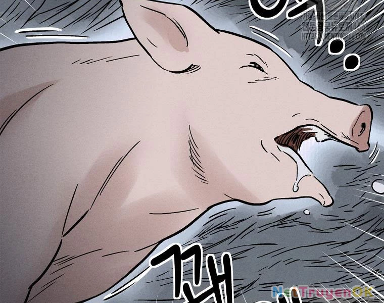 Trọng Sinh Thành Thần Y Thời Tam Quốc Chapter 139 - Trang 4