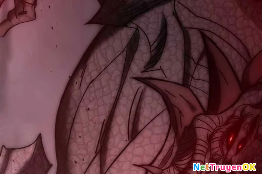 Học Viện Tối Thượng Chapter 135 - Trang 4