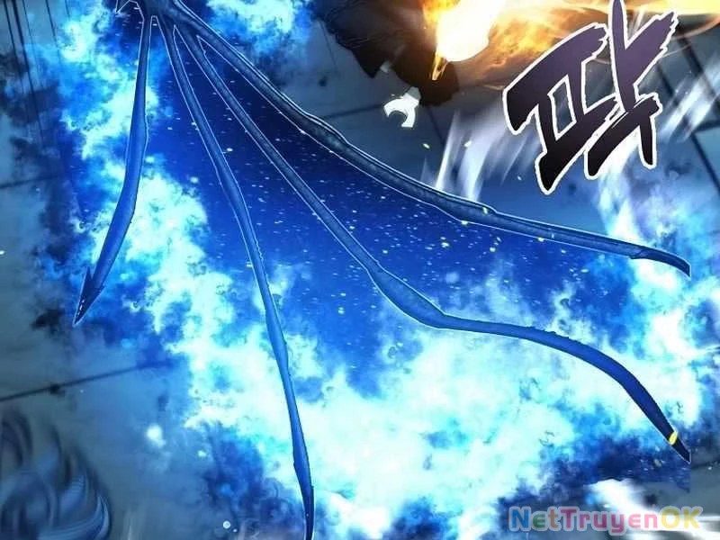 Vua Thăng Cấp Chapter 191 - Trang 4