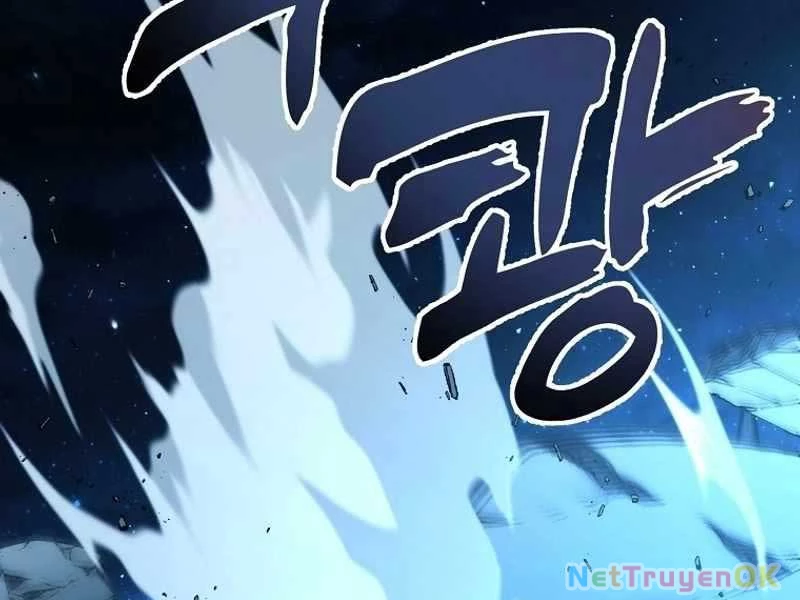 Vua Thăng Cấp Chapter 191 - Trang 4