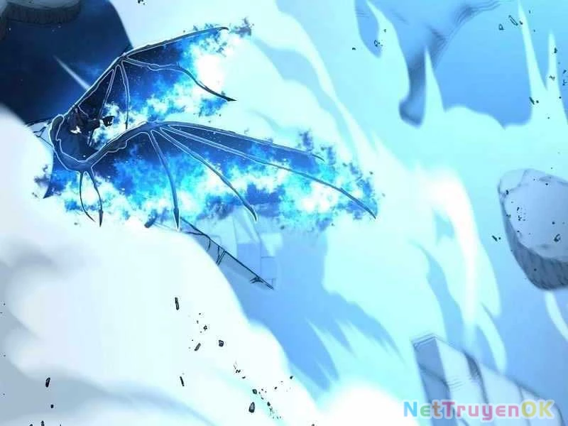 Vua Thăng Cấp Chapter 191 - Trang 4