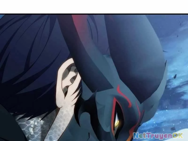 Vua Thăng Cấp Chapter 191 - Trang 4